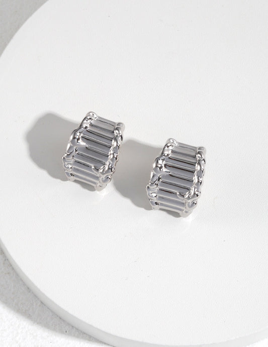 Sterling Silver 925 Nuance Texture Double Texture Simple Earrings
